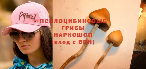трава Заводоуковск