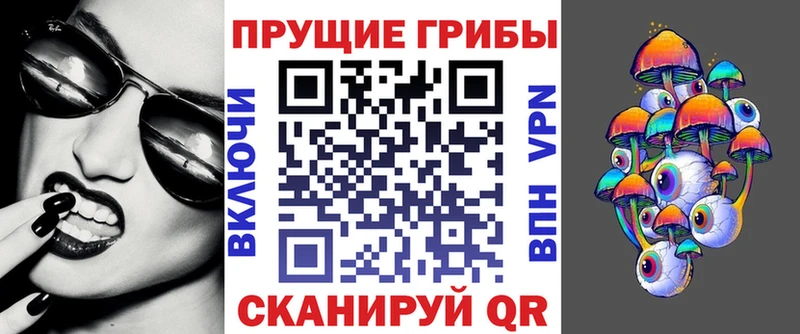Псилоцибиновые грибы MAGIC MUSHROOMS  где продают   Злынка 